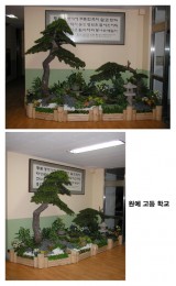 원예고등학교 소나무 조경 1